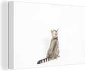 Canvas Schilderij Kat - Huisdieren - Vacht - 60x40 cm - Wanddecoratie