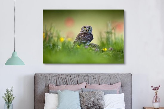 Chouette assise sur un rocher dans un champ 180x120 cm - Tirage photo sur toile (Décoration murale salon / chambre) XXL / Groot format!