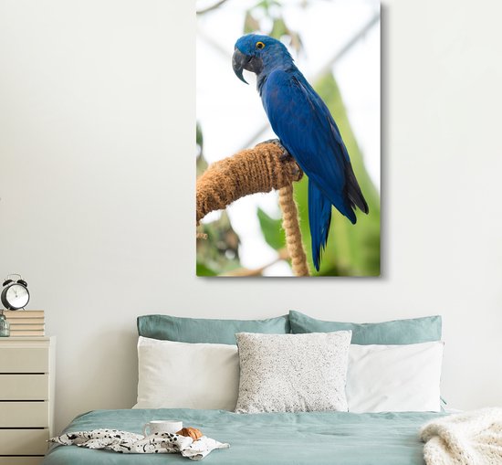 Ara hyacinthe sur toile bâton 2cm 120x180 cm - Tirage photo sur toile (Décoration murale salon / chambre) XXL / Groot format!