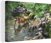 Boire cerf au Japon toile 2cm 150x100 cm - impression photo sur toile peinture (Décoration murale salon / chambre à coucher) / Animaux sauvages Peintures Toile
