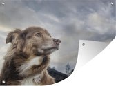 Muurdecoratie buiten Starende hond - 160x120 cm - Tuindoek - Buitenposter