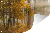 Tuinposters buiten Herfstbomen in het mistige bos - 90x60 cm - Tuindoek - Buitenposter