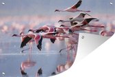 Tuindecoratie Roze flamingo's op het water - 60x40 cm - Tuinposter - Tuindoek - Buitenposter