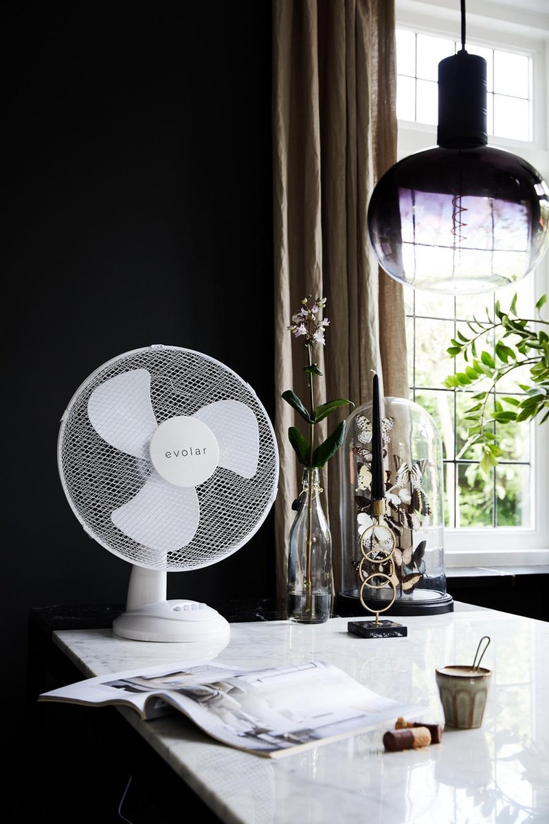Evolar Tafelventilator 40 cm / 16 Inch - Ventilator 40W - 3 Standen - Rotatiefunctie - Tafel Ventilator - EVO-16T thumbnail 4