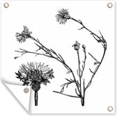 Tuinschilderij Een zwart-wit illustratie van een korenbloem - 60x80 cm - Tuinposter - Tuindoek - Buitenposter