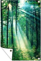 Affiche de jardin Light in the Forest en vrac 40x60 cm - petit - Toile de jardin / Toile d'extérieur / Peintures d'extérieur (décoration de jardin)