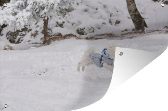 Tuindecoratie Maltezer hond springend in de sneeuw - 60x40 cm - Tuinposter - Tuindoek - Buitenposter