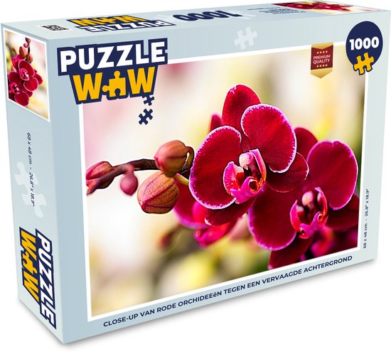 Puzzle orchidée rouge 1000 pièces - gros plan d'orchidées rouges sur un  arrière-plan flou | bol.com