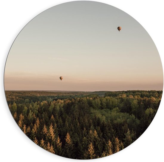 Dibond Wandcirkel - Luchtballonnen boven Regenwoud - 90x90cm Foto op Aluminium Wandcirkel (met ophangsysteem)