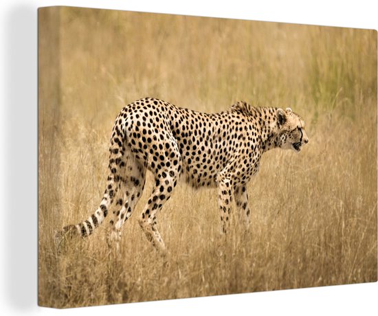 Canvas Schilderij Luipaard - Camouflage - Gras - 30x20 cm - Wanddecoratie