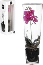 Mica Decorations Phalaenopsis Kunstplant - H50 x Ø17 cm - In vaas - Cadeaubox - Paars