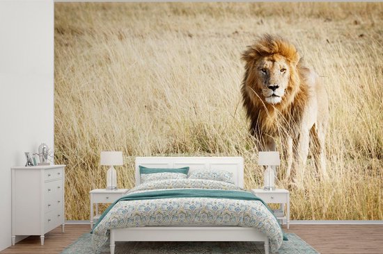 Papier Peint - Papier peint photo Lions - Afrique - Herbe - Largeur 360 cm x Hauteur 240 cm
