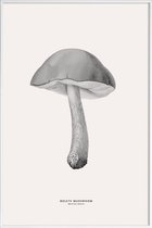 JUNIQE - Poster in kunststof lijst Bolete Mushroom -20x30 /Grijs &