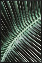JUNIQE - Poster in kunststof lijst Curved Palm -30x45 /Groen
