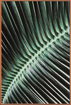 JUNIQE - Poster met kunststof lijst Curved Palm -30x45 /Groen