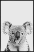 JUNIQE - Poster met kunststof lijst Koala Classic -13x18 /Wit & Zwart