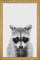 JUNIQE - Poster met houten lijst Raccoon Classic -13x18 /Wit & Zwart