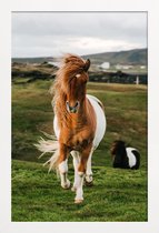 JUNIQE - Poster met houten lijst Shetland Ponies -13x18 /Bruin & Groen