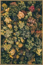 JUNIQE - Poster met kunststof lijst Herfstbomen - luchtfotografie
