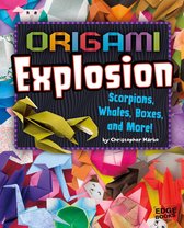 Origami Paperpalooza - Origami Explosion