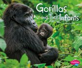Animal Offspring - Gorillas and Their Infants