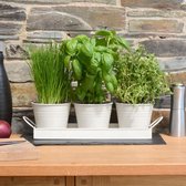 Herb Plantes Pot - Pots de plantes en métal avec feuille goutte - Pots de culture - Set de 3 - Craie Wit