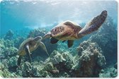 Muismat Schildpad - Twee zeeschildpadden muismat rubber - 27x18 cm - Muismat met foto