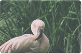Muismat Flamingo - Een flamingo staat tussen het gras muismat rubber - 27x18 cm - Muismat met foto