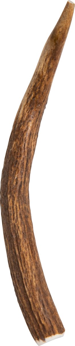 Hertengeweideel S