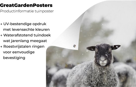 Décoration de jardin Moutons - Neige - Hiver - 40x60 cm - Poster jardin - Toile jardin - Poster extérieur