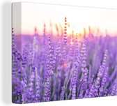 Canvas schilderij - Lavendel - Zonsondergang - Bloemen - Paars - Schilderij bloemen - 120x90 cm - Canvas doek - Muurdecoratie - Woonkamer