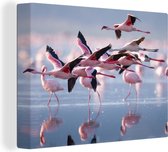 Canvas - Schilderij - Flamingo - Zee - Water - Vogel - Tropical - Schilderij op canvas - Woonkamer - 40x30 cm - Canvas doek - Wanddecoratie