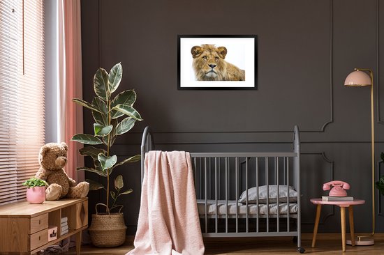 Photo encadrée - Lion mâle sur fond blanc cadre photo noir avec passe partout blanc 40x60 60x40 cm - Affiche encadrée (Décoration murale salon / chambre)