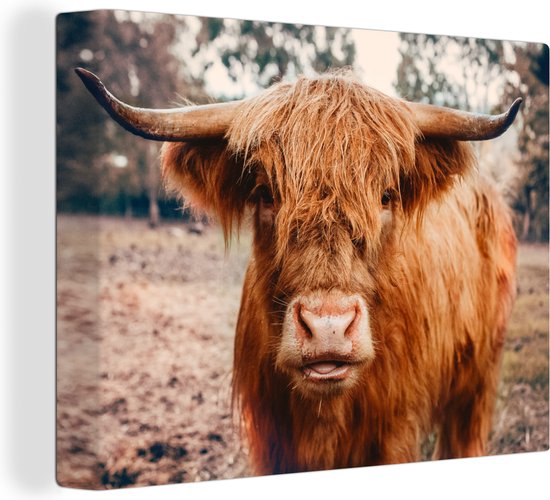 Tableau sur toile - Highlander - Animaux - Vache - Peintures salon - Décoration chambre - Toile toile - 40x30 cm