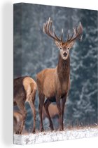 Canvas - Herten - Landschap - Dieren - Winter - Sneeuw - Woondecoratie - 30x40 cm - Foto op canvas - Canvas doek