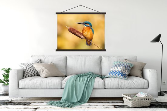 Porte-affiche avec affiche - Affiche scolaire - Martin-pêcheur - Nature - Vogel - 150x113 cm - Lattes noires