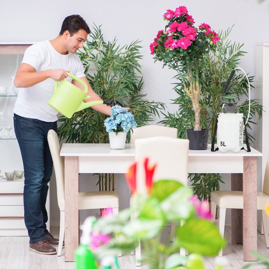 plantenspuit 5 liter - verstelbaar mondstuk - druksproeier - onkruidsproeier van Merkloos	 — afbeelding 3