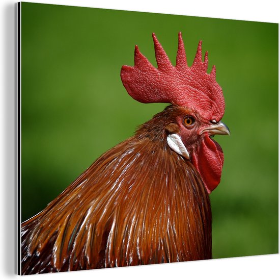 Wanddecoratie Metaal - Aluminium Schilderij Industrieel - Rode hanenkam ...