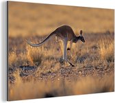 Jumping kangaroo warm glow Aluminium 30x20 cm - petit - Tirage photo sur aluminium (décoration murale métal)