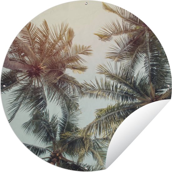Palmboom - Zomer - Tropisch