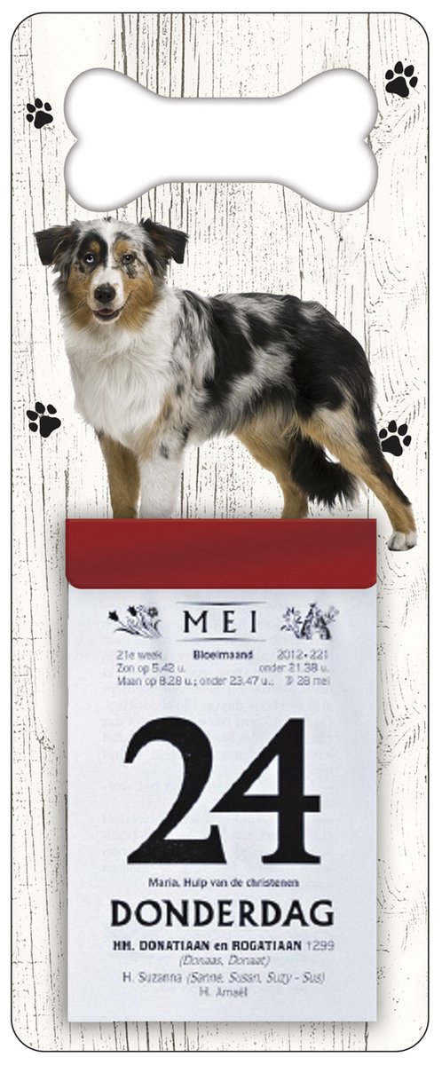 Scheurkalender 2026 Hond: Bordercollie Tricolor