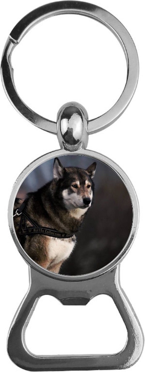 Bieropener Glas - Husky