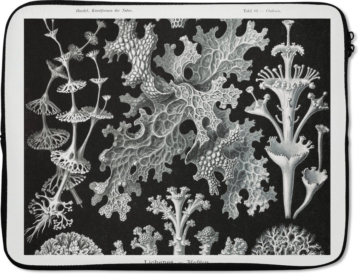 Laptophoes 15.6 inch - Kunst - Koraal - Ernst Haeckel - Oude meesters - Natuur - Laptop sleeve - Binnenmaat 37x26 cm - Zwarte achterkant