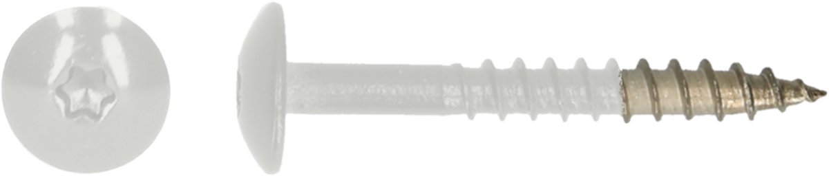 PGB-FASTENERS | HPL schroef Tx20 4,8x25 R9003 A4