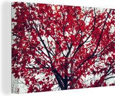 Canvas Schilderij Esdoorn - Bladeren - Herfst - Natuur - 60x40 cm - Wanddecoratie