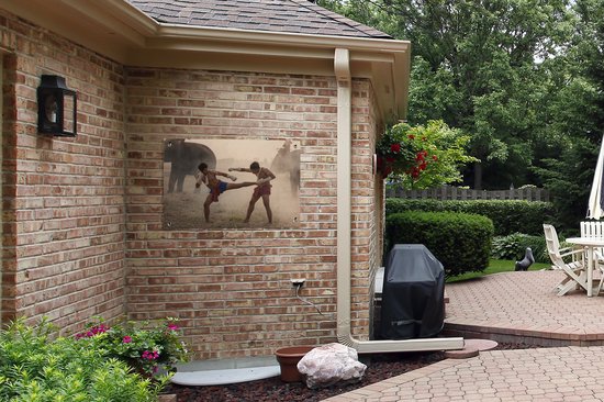 Posters de jardin Arts martiaux - Éléphants - Muay Thai - 90x60 cm - Toile de jardin