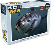 Puzzel Haai - Wit - Water - Legpuzzel - Puzzel 1000 stukjes volwassenen