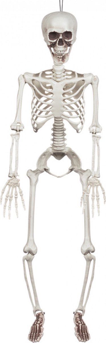 Halloween - Skelet 90cm