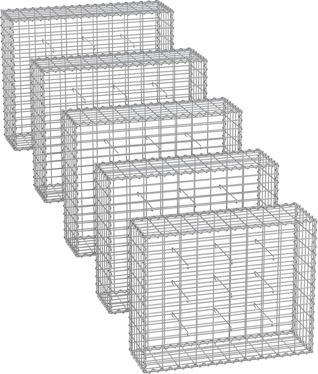 Gabion Mandenset - Metalen kooi - Gaas - Gegalvaniseerd staal - 100 cm x 80 cm x 30 cm - Zwaar uitgevoerd - Tuinaanleg