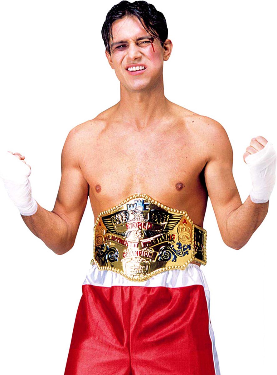 Boks gordel kampioen
